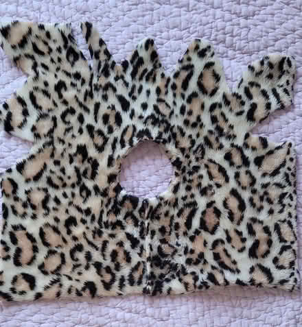 Photo of free Costume - Furry top + collar, tail (Adams Morgan) #3