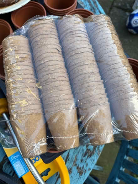 Photo of free Small (approx 6cm high) seedling pots (Kingston Gate KT2) #1