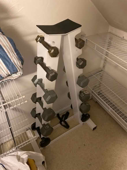 Photo of free Weight tree (Near Hudson line) #1