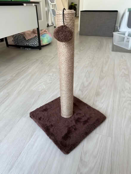 Photo of free Cat Stuff (KT11) #2