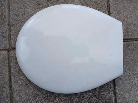Photo of free Toilet seat (Dawlish) #1