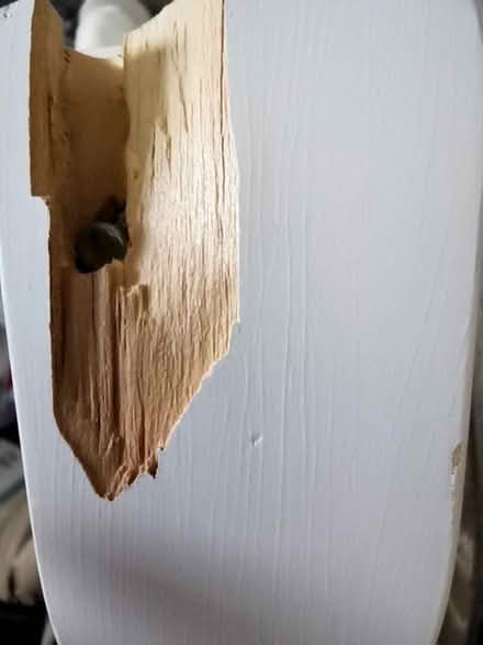 Photo of free Cotbed (Birchwood AL10) #3