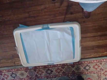Photo of free Wee wee pad holder (South ozone pk, queens) #2
