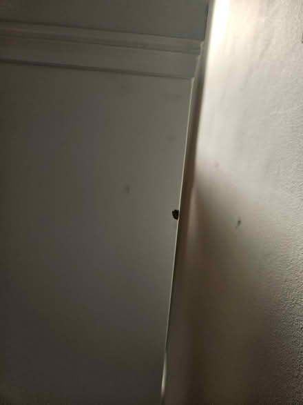 Photo of free Fireplace (Splott, CF24) #4