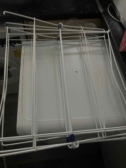 Photo of free Clothes Airer (Herongate CM13) #2