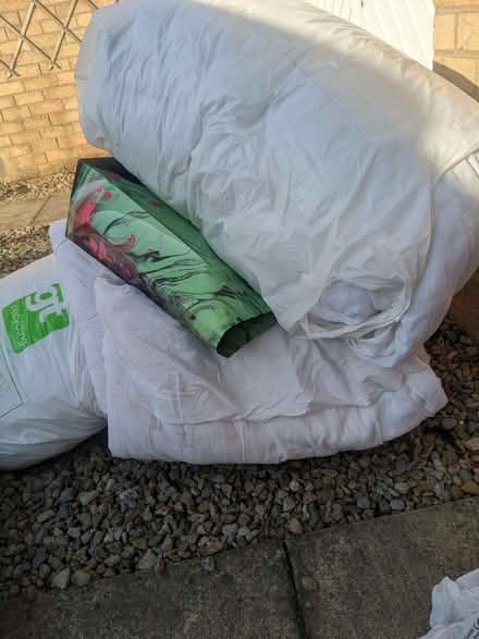 Photo of free Old quilts (New Earswick YO32) #1