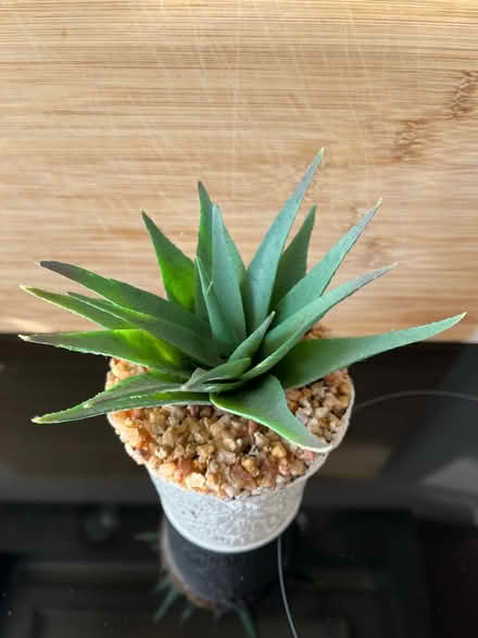 Photo of free Artificial aloe vera plant with pot (Slyne with Hest, lancaster) #2