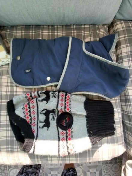 Photo of free Dog coat (Upton CH2) #1
