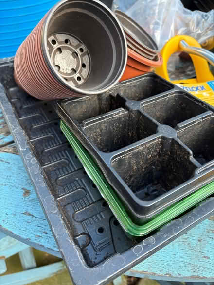 Photo of free Various plastic seed trays / plant pots (Kingston Gate KT2) #1