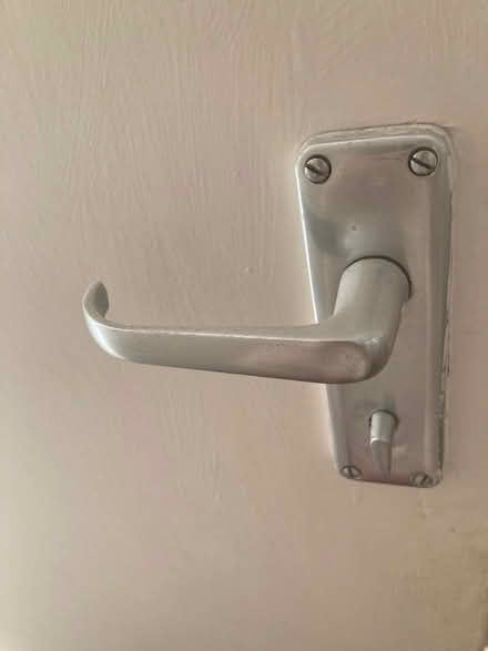 Photo of free Internal door (Forest Hill SE26) #2