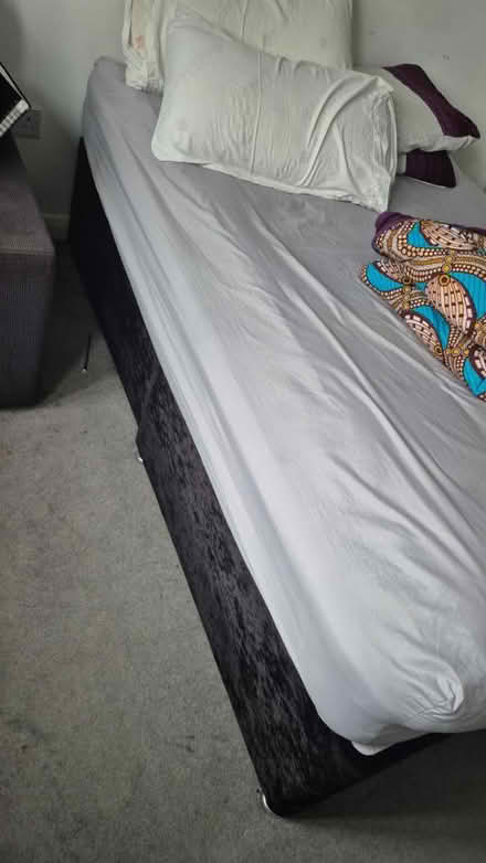 Photo of free Double bed (Rm12 4tr) #1