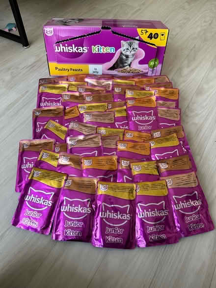 Photo of free Cat Stuff (KT11) #3
