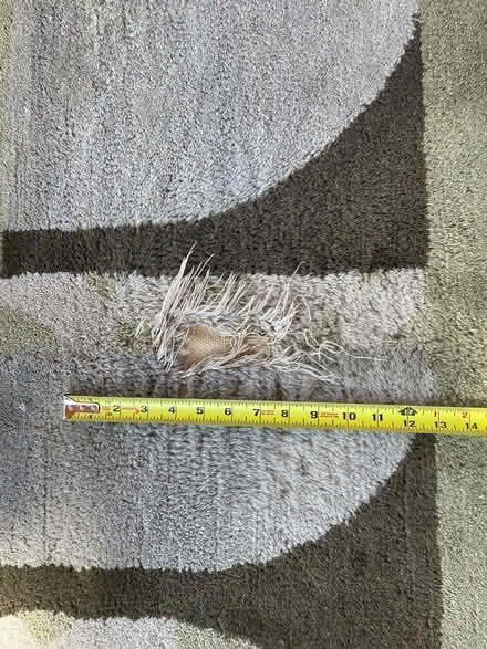 Photo of free 9x12 foot wool rug (South Capitol) #3