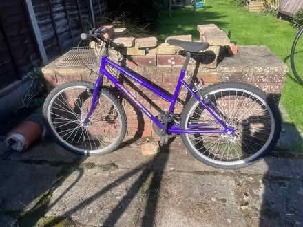 Photo of free Ladies Bike (Battenhall, Worcester) #1