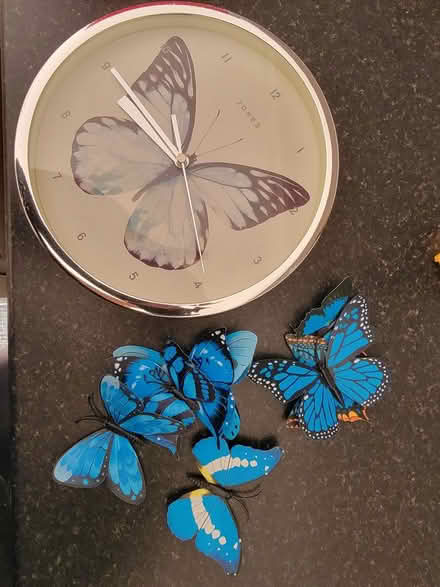 Photo of free Butterfly clock and magnets (S2 Heeley) #1