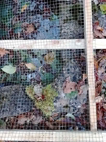 Photo of Wire mesh netting (Painswick GL6) #1