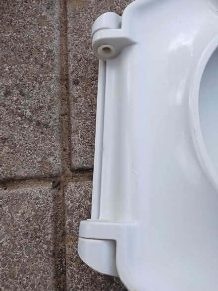 Photo of free Toilet seat (Dawlish) #4