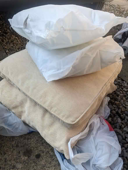 Photo of free Four old cushions (New Earswick YO32) #1