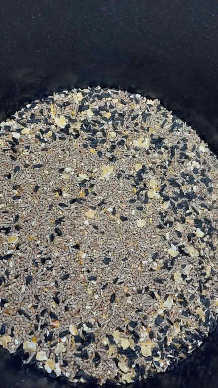 Photo of free Layers pellet and sunflower seed mix for chickens (Hornby LA2) #1