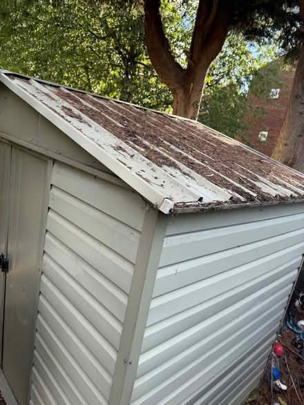 Photo of free Garden shed (Yeading UB4) #2