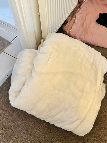 Photo of free Bedding (Eastbourne BN21) #1