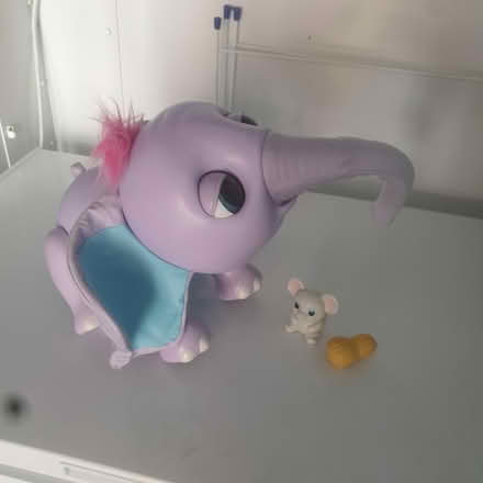 Photo of free Juno Elephant (Croxteth L11) #1
