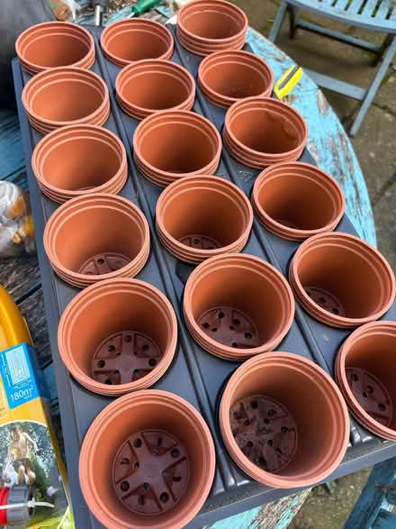 Photo of free Five plant pot trays and numerous plants pots to fit (Kingston Gate KT2) #1