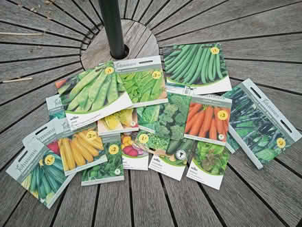 Photo of free vegetable seeds (Emsworth PO10) #1