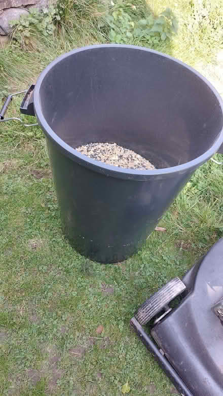 Photo of free Layers pellet and sunflower seed mix for chickens (Hornby LA2) #2