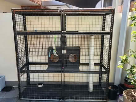 Photo of free Cat play area, cage (Victoria Park) #1