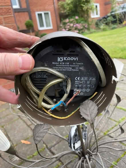 Photo of free Leaf chandelier (Oswestry SY11) #1