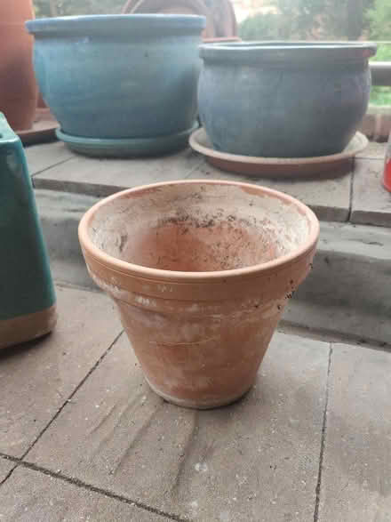 Photo of free Job lot - garden pots (Finchley N3) #4
