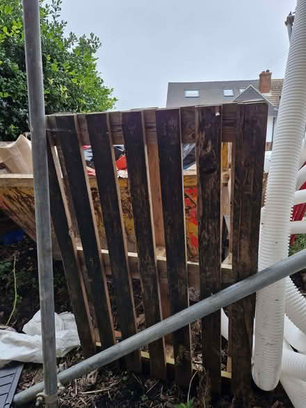 Photo of free One pallet (Shoreham-by-Sea BN43) #1