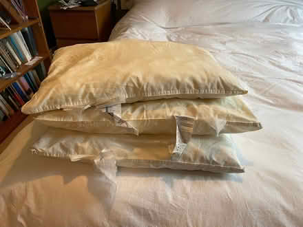 Photo of free 3 ikea cushions (Walton Manor OX2) #1
