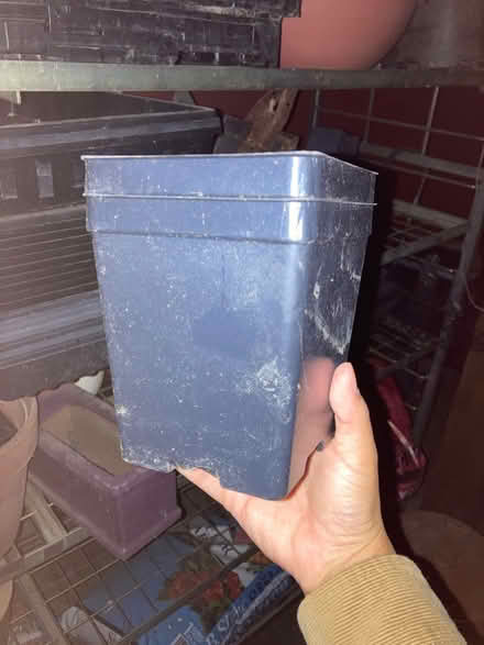Photo of free Plastic plant pots (Avalon and Genesee) #3