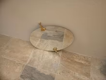 Photo of free Oval Vanity Mirror (Woollard) #1