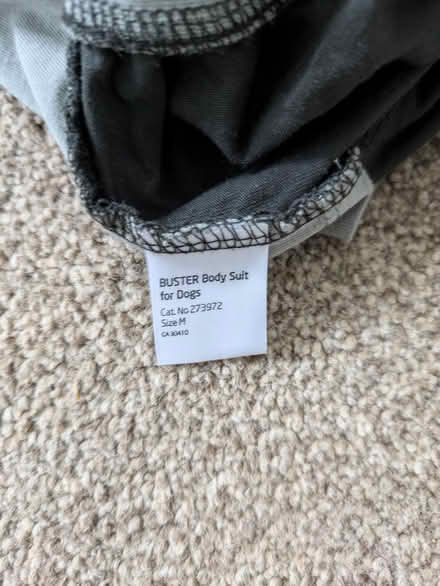 Photo of free Dog suit (Headington OX3) #2