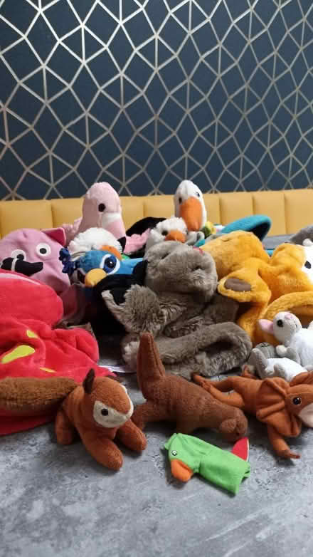 Photo of free Hand puppets and finger puppets (East grinstead RH19) #2