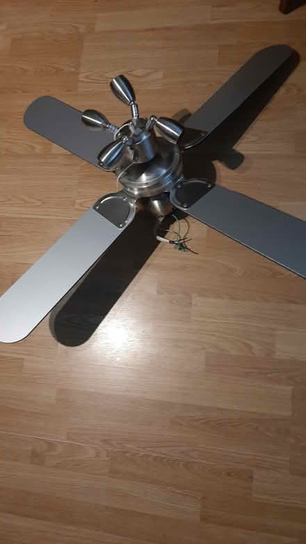 Photo of free Ceiling Fan -Wallingford (Wallingford) #1