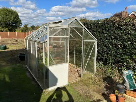 Photo of free 6x8 greenhouse (Churt GU10) #1