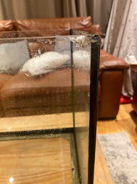 Photo of free 54L tetra brand fish tank (BR2) #3