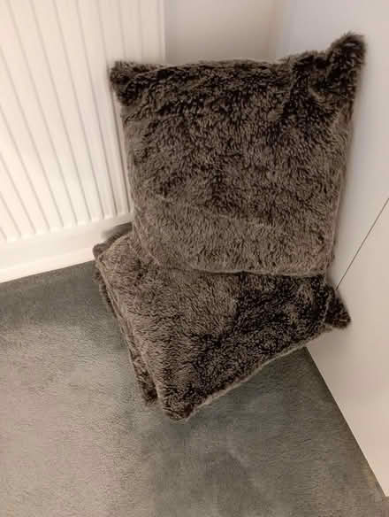 Photo of free Brown cushions (St Albans) #1
