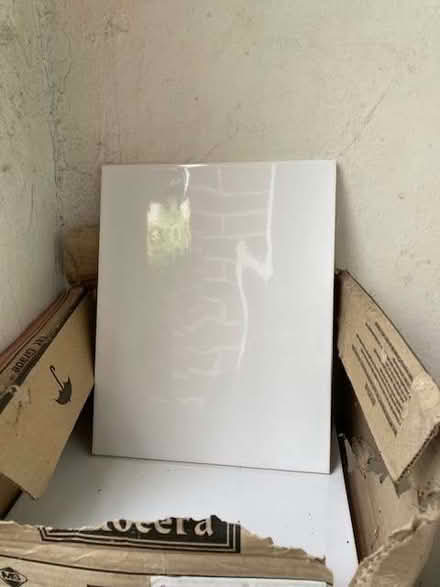 Photo of free White wall tiles (Llandaff CF5) #1
