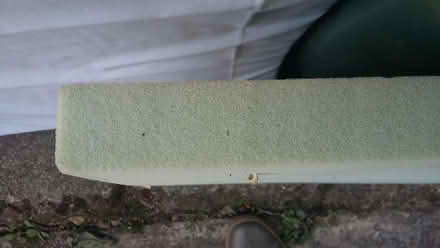 Photo of free 2 foam cushions (Falsgrave) #3