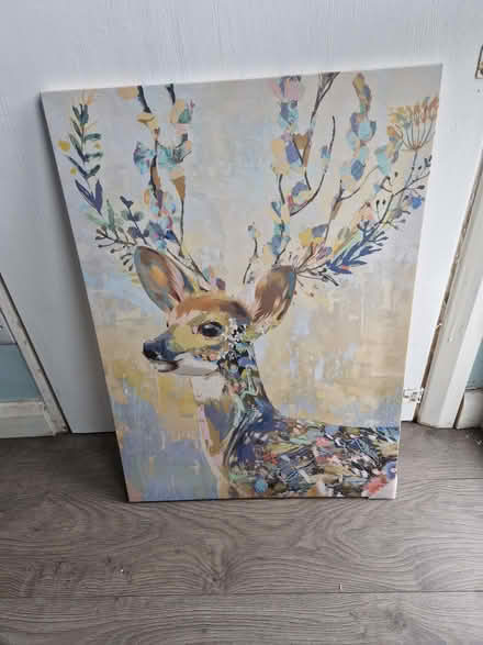 Photo of free Animal Wall Art / Canvas (Canklow S60) #1