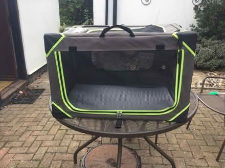 Photo of free Pet travel bag and car dog guard (Bunwell NR16) #3