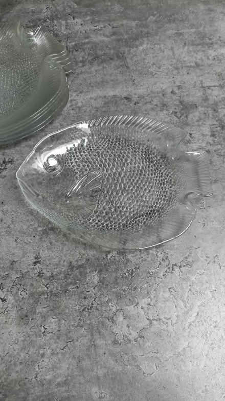 Photo of free 6 glass fish plates (East grinstead RH19) #1