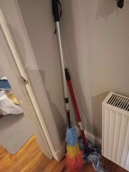 Photo of free Duster and mop (Slateford EH14) #2