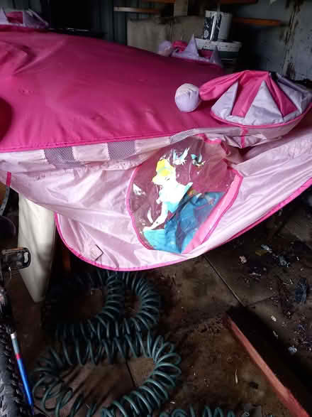 Photo of free Princess Tent (Aylestone LE2) #2