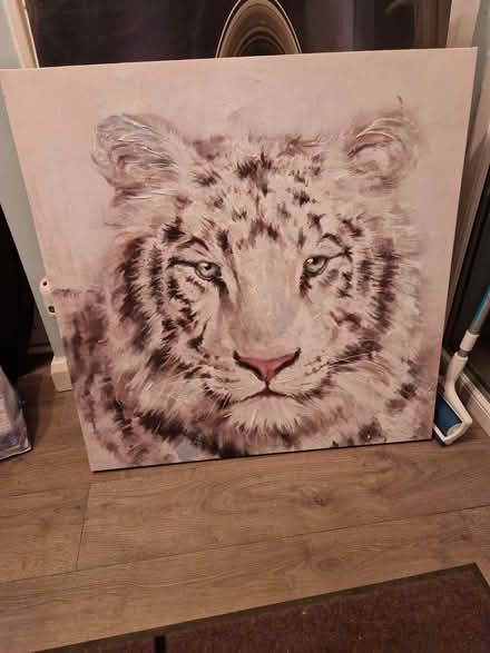 Photo of free Animal Wall Art / Canvas (Canklow S60) #2